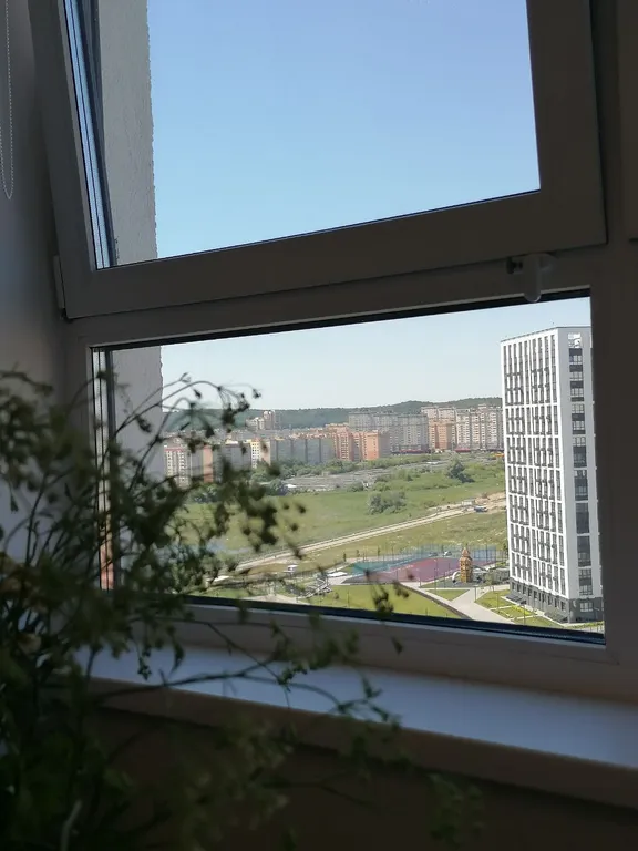 Просторная студия с видом на лес