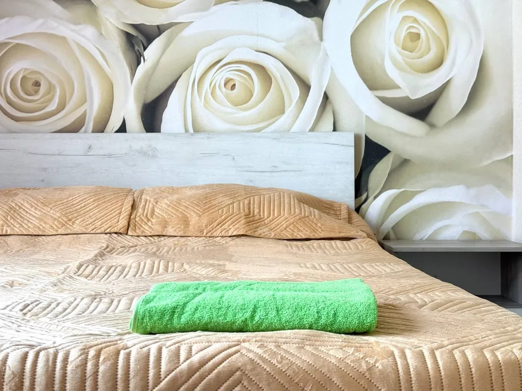 Уютный апартамент в центре города