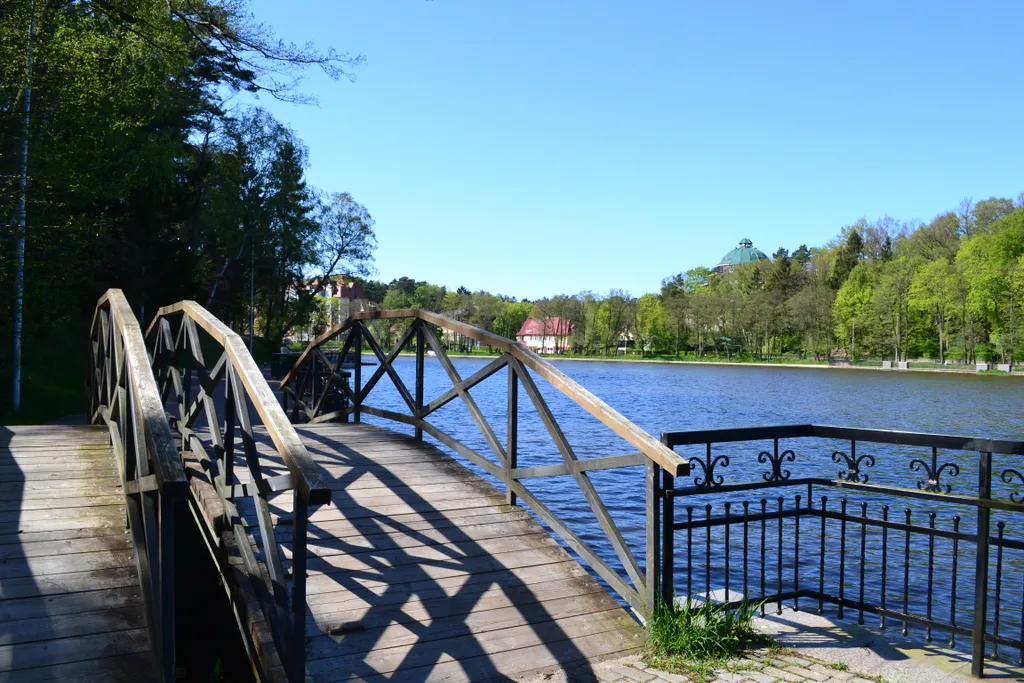 Апартамент с потрясающим видом на сосны