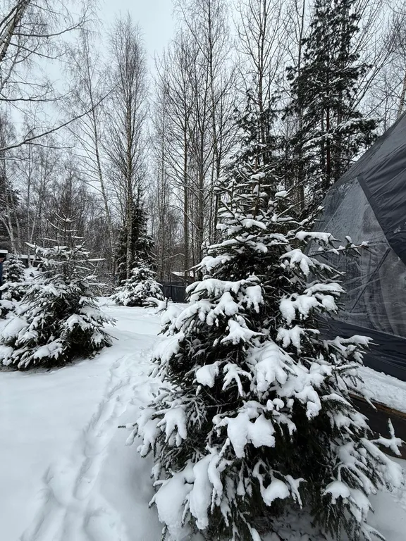 Новая сфера для глэмпинга Бёрд&Self vibe с дизайнерским интерьером