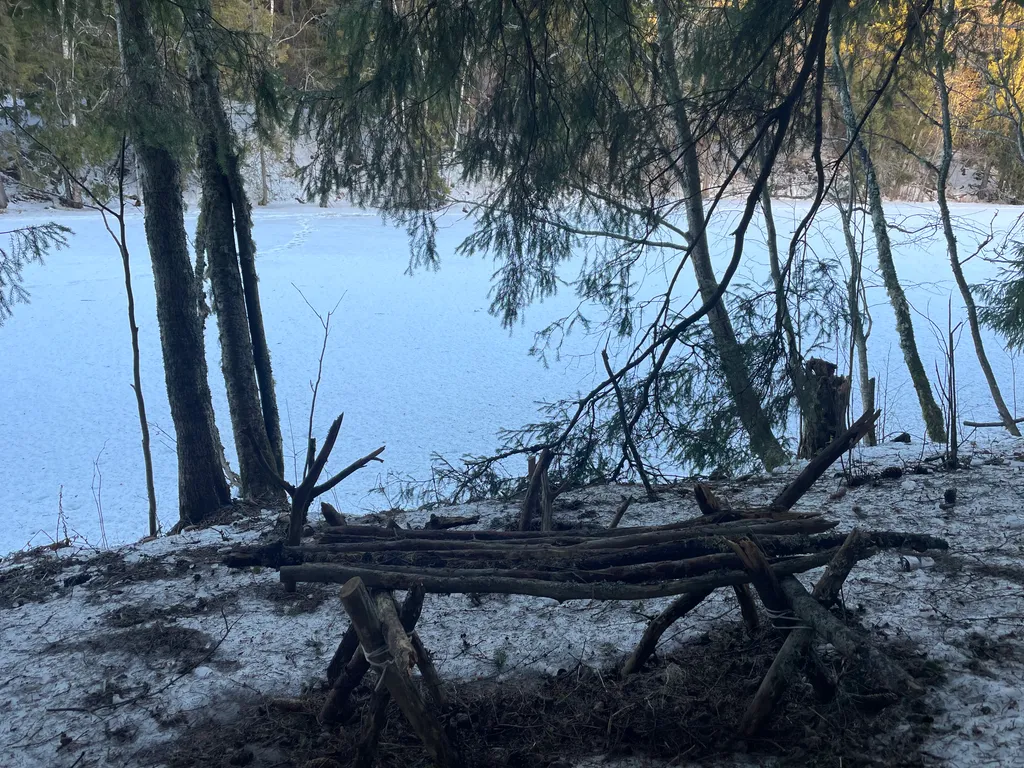 Домик для семейного отдыха в лесу