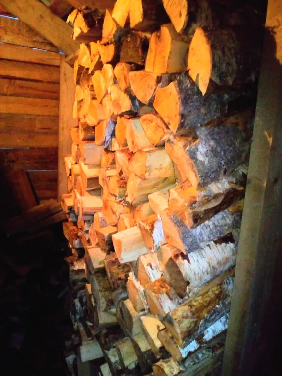 Дом с баней на дровах