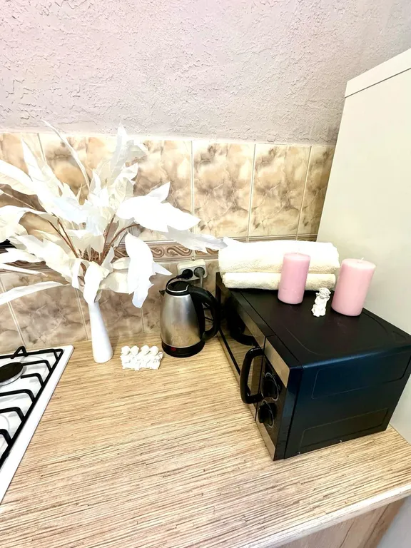 Апартаменты рядом с Глобусом