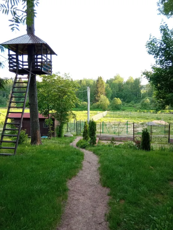 Коттедж Рябиновый домик с видом на лес и реку — Агалатово