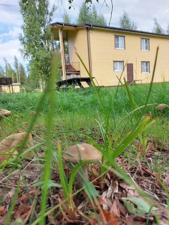 Квартира Уютные апартаменты с кухней — Приморск