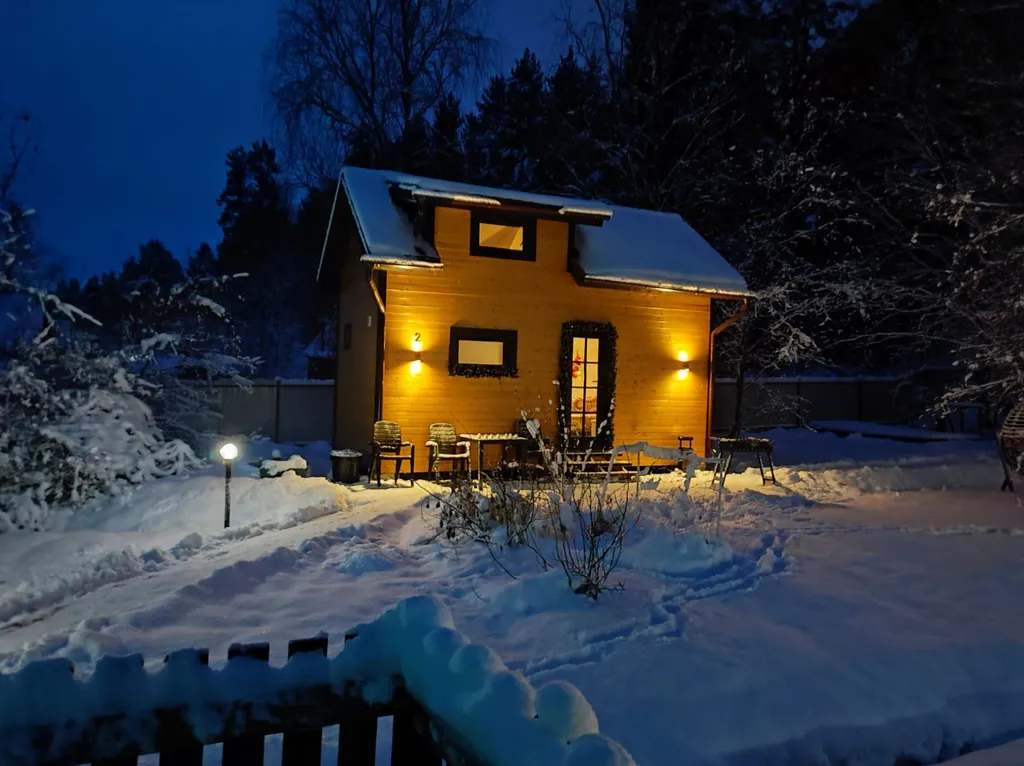 Коттедж Коттедж Shuya Tiny House 2 — Петрозаводск