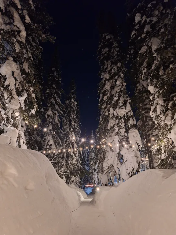 Коттедж Уютный семейный домик с террасой в лесу — Шерегеш