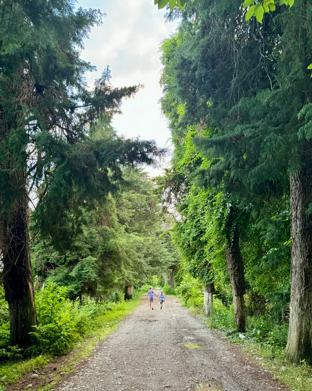 Апартамент с видом на море