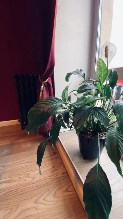 Квартира Атмосферная квартира — Санкт-Петербург