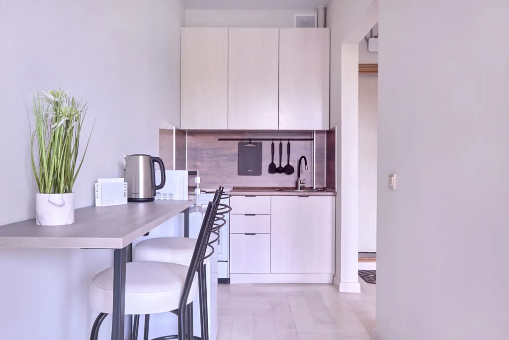 Студия на Розы Люксембург, 19  (дом без лифта)