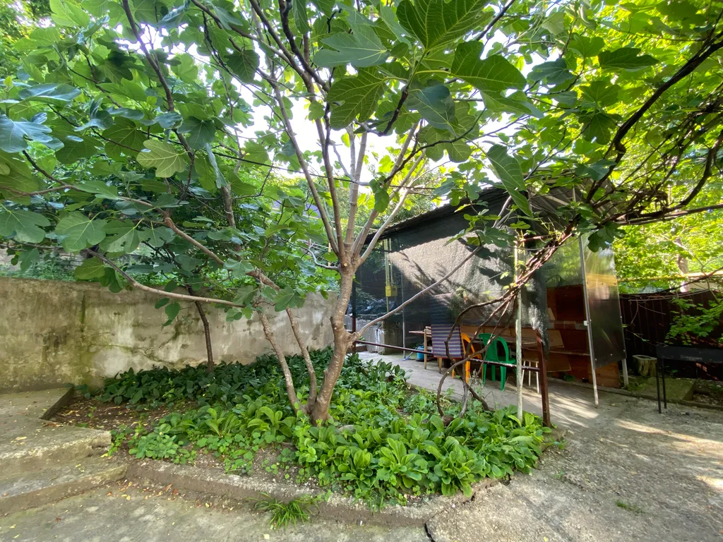 Дом с участком в центре города