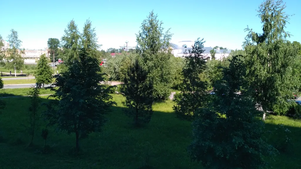 Семейная Квартира Котики