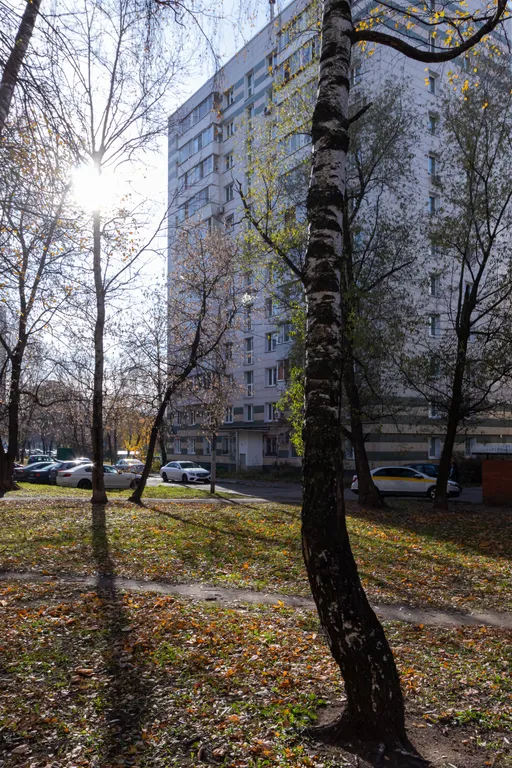 Квартира Квартира с теплой атмосферой Новелла в Печатниках — Москва