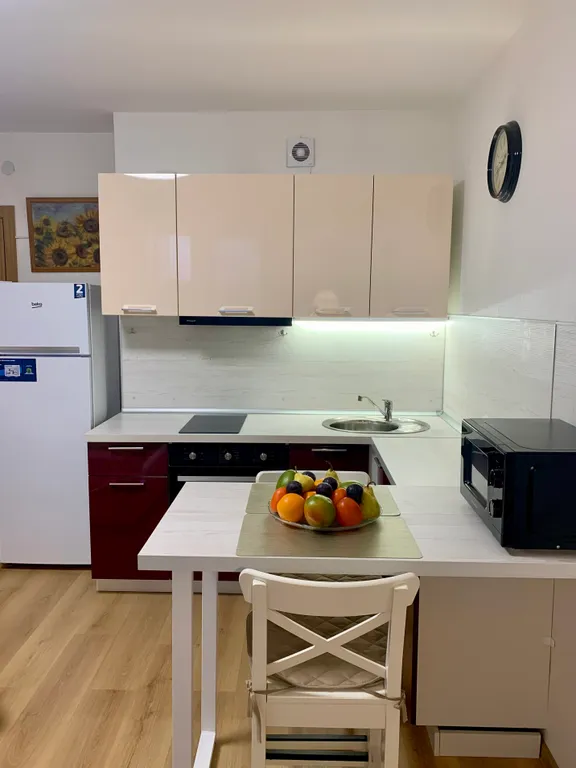 Квартира Квартира Уютная студия у НИИ имени Петрова с бесконтактным заселением — Песочный