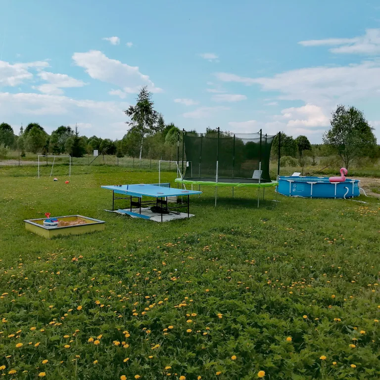 Новый дом с сауной возле леса