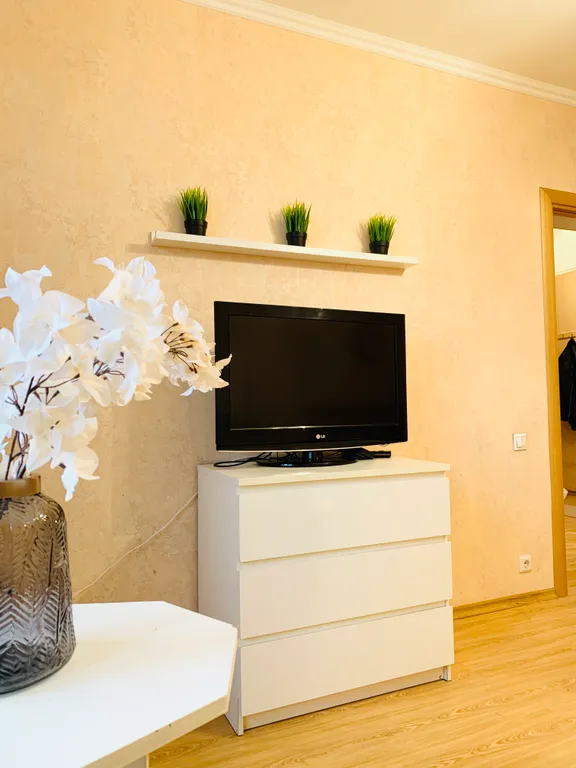 Однушка рядом с Крокус сити