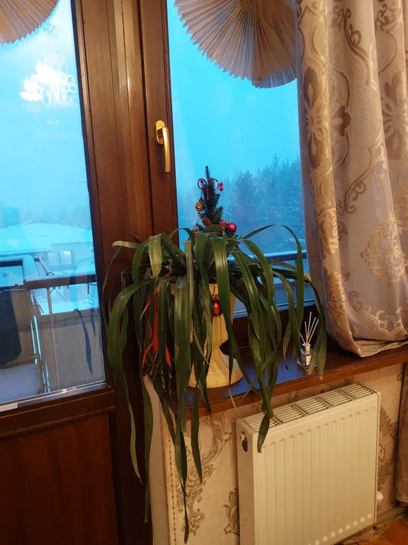 Уютная 3-комнатная квартира в центре