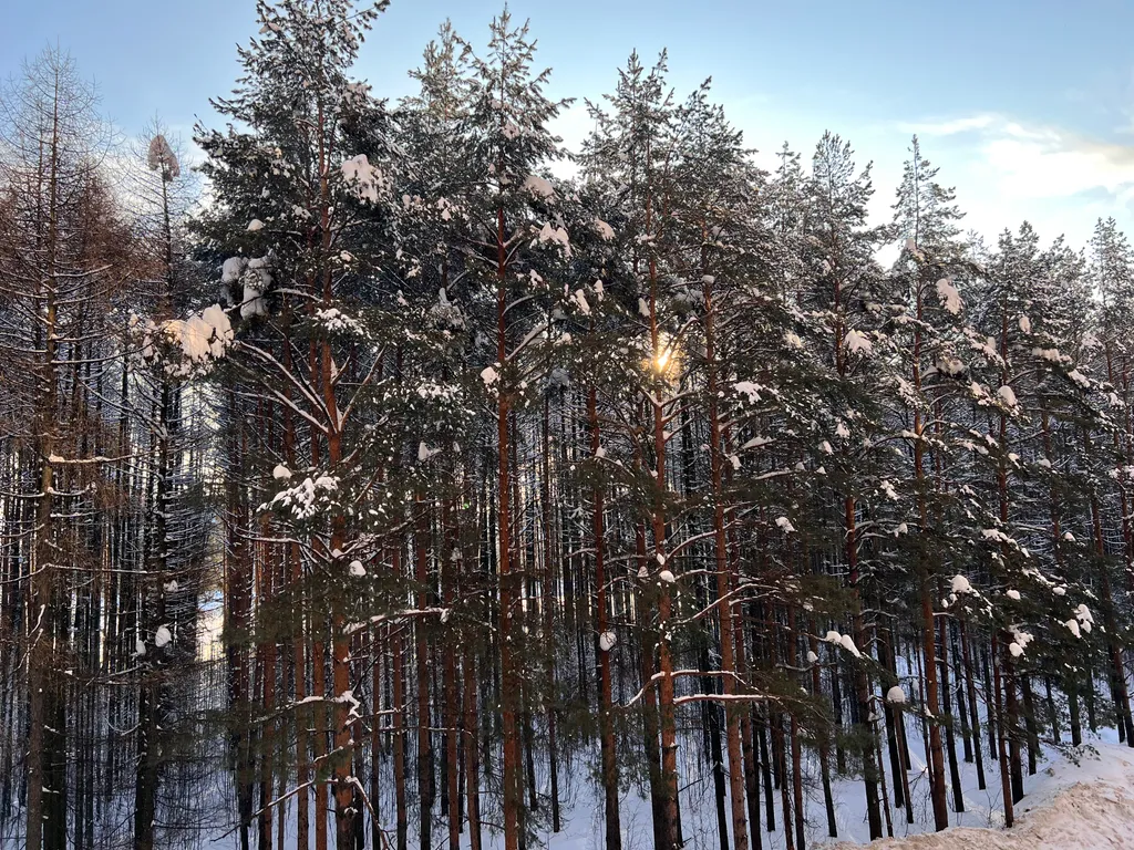 Апартаменты Калинка Парк