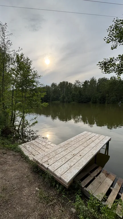 Уютный дом с баней у леса