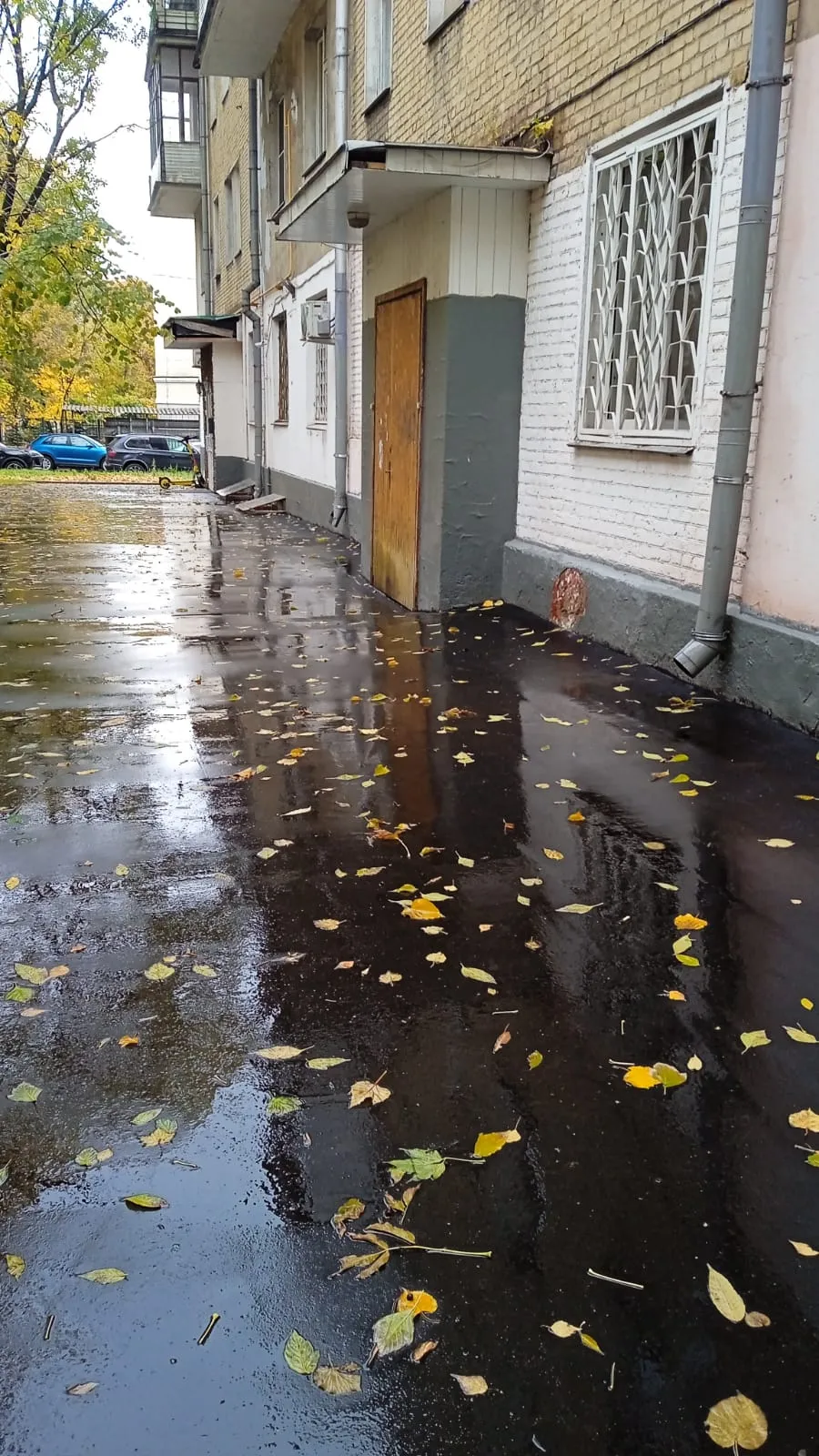 Фото