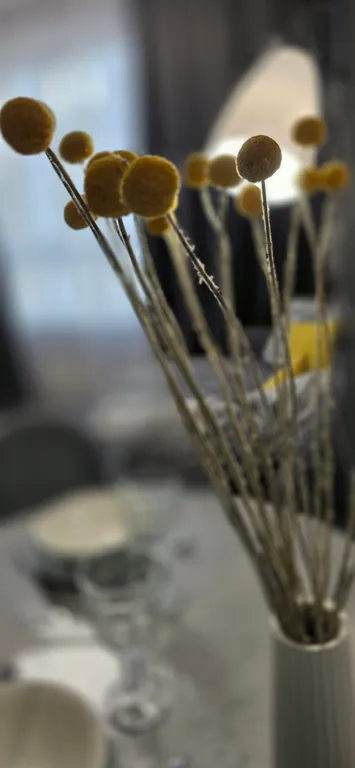 Светлая и уютная студия у Мещерского парка