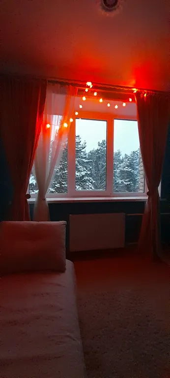 Студия в сосновом бору