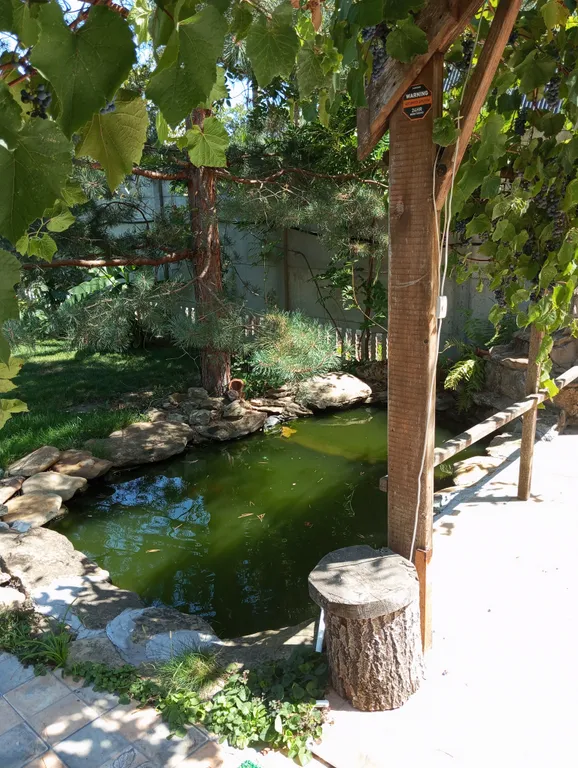 Уютный домик у леса рядом с городом