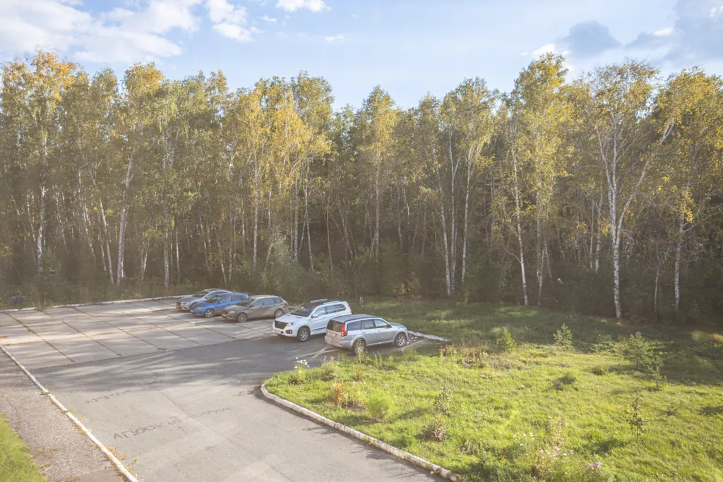 Апартаменты с видом на лес