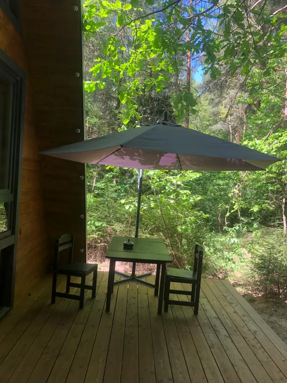 Большой уютный дом в лесу