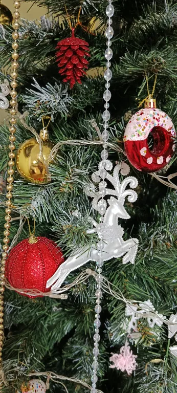 Двухкомнатные апартаменты на берегу моря