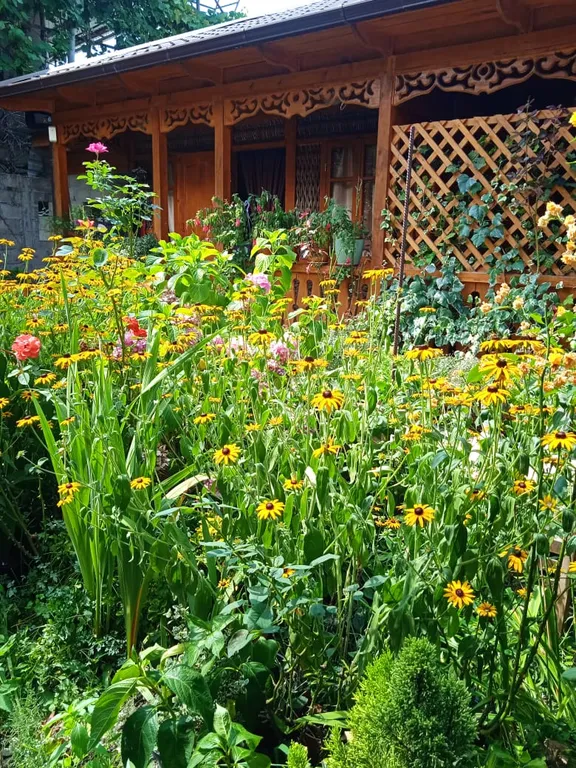 1-комнатный Дом