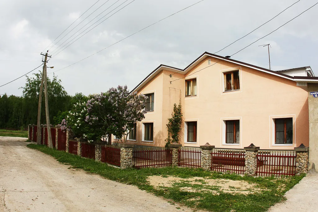 Дом в деревне с баней и камином