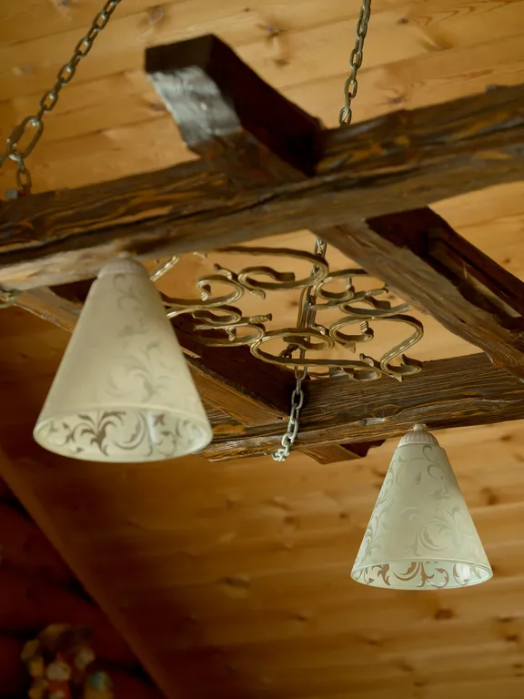 Гуси Лебеди