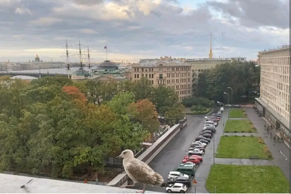 Квартира с панорамным видом на Неву