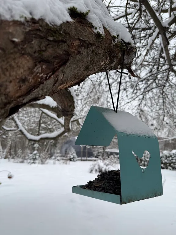 Новая сфера для глэмпинга Бёрд&Self vibe с дизайнерским интерьером