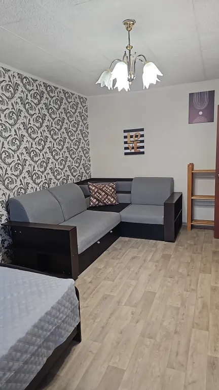 Квартира рядом с городскими прудами, Платинум ареной