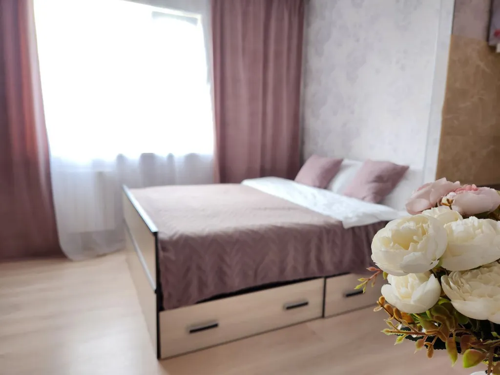 Студия с шикарным видом на лес