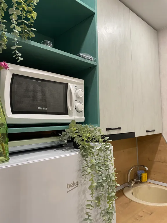 Уютная квартира в центре города Romantic house green