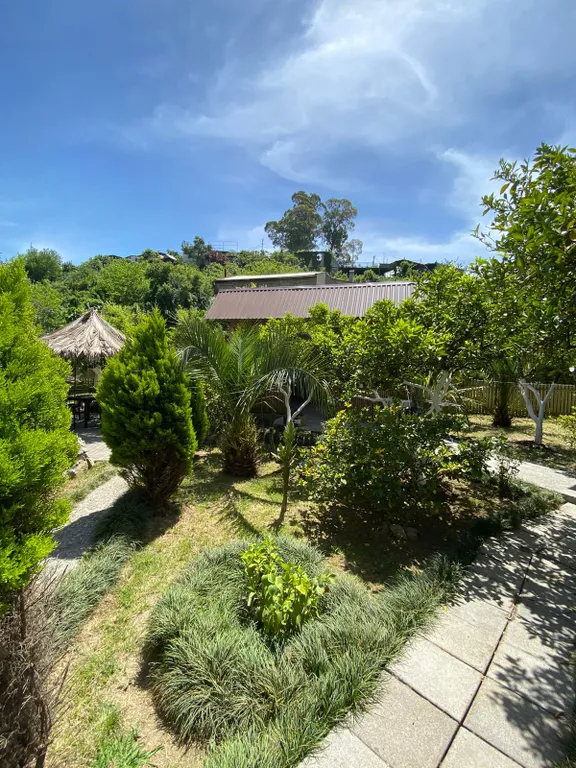 Коттедж Просторный дом у моря — аренда посуточно в Гагра