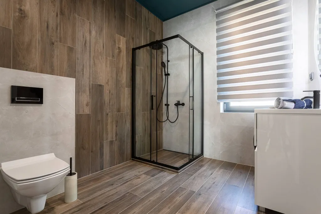 Дом в Мечниково