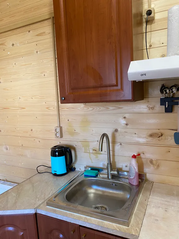 Домик рядом с Невой