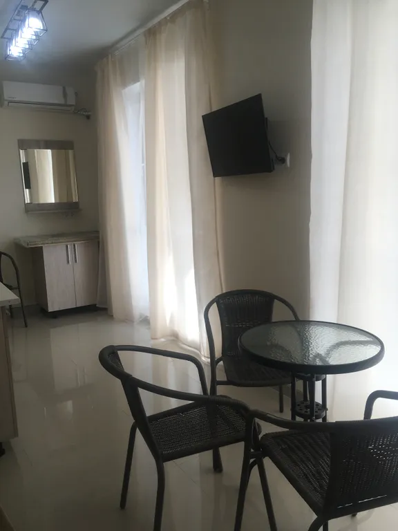 Квартира Просторная комната-студия в Олимпийском парке — Сириус