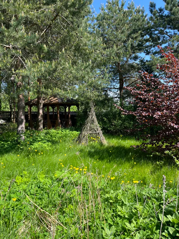 Барнхаус в деревне