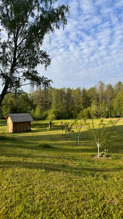 Усадьба Сова