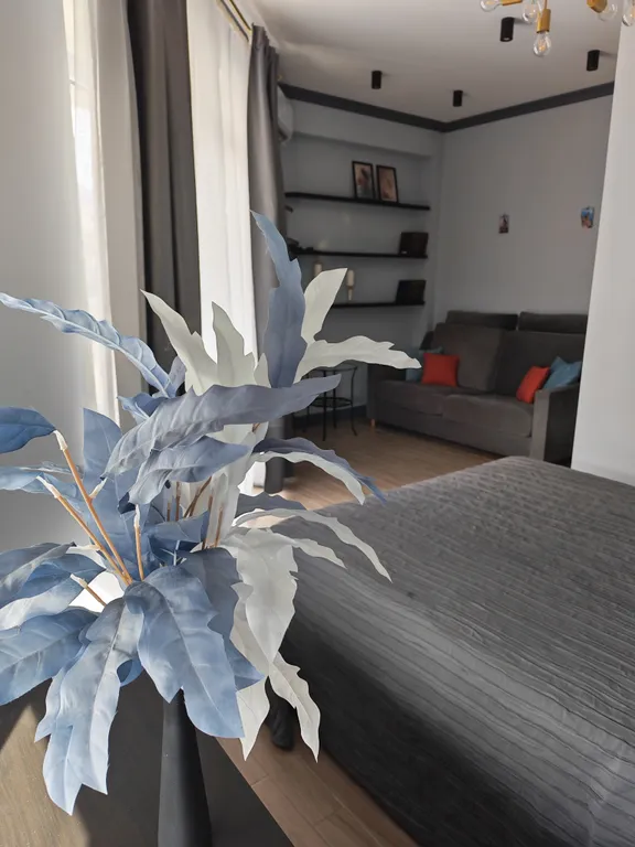 Стильная квартира в Маленькой Италии