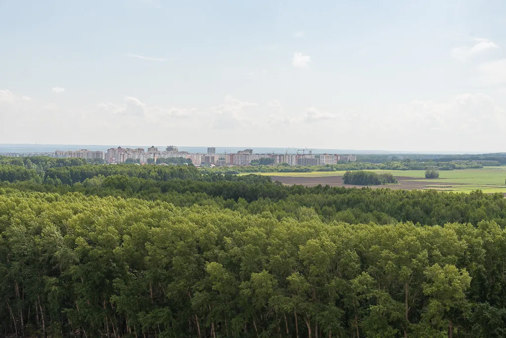 Квартира Квартира Уютная студия в новом доме с видом на лес — Новосибирск