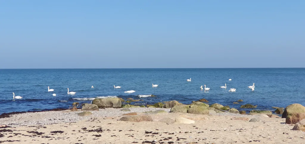 Загородный дом Филино с сауной, садом и барбекю