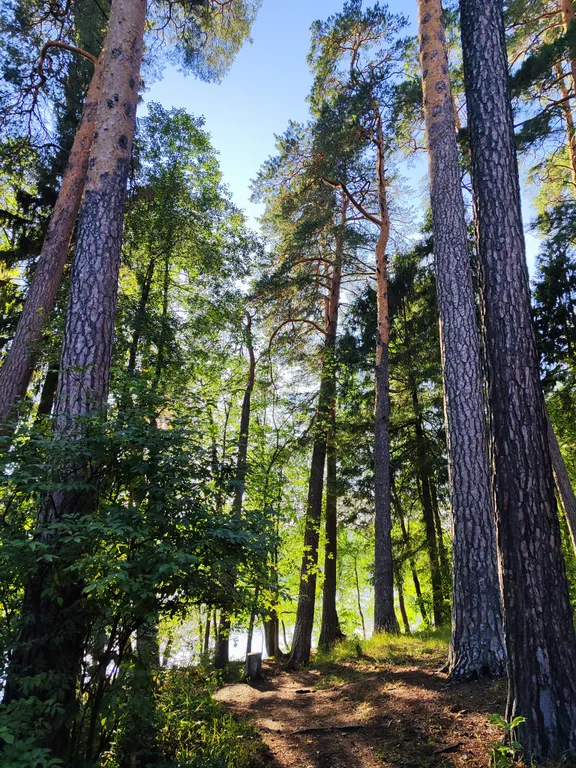 Большой уютный дом у Раифского леса для отдыха всей семьёй