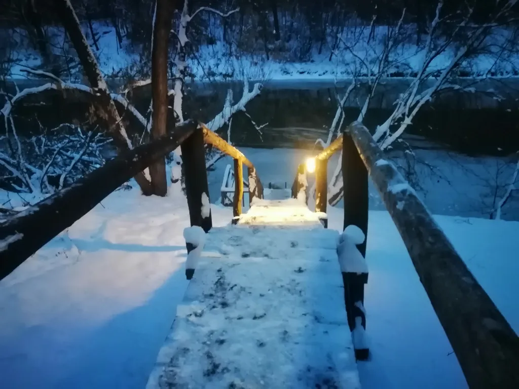 Новый год с русской баней на дровах