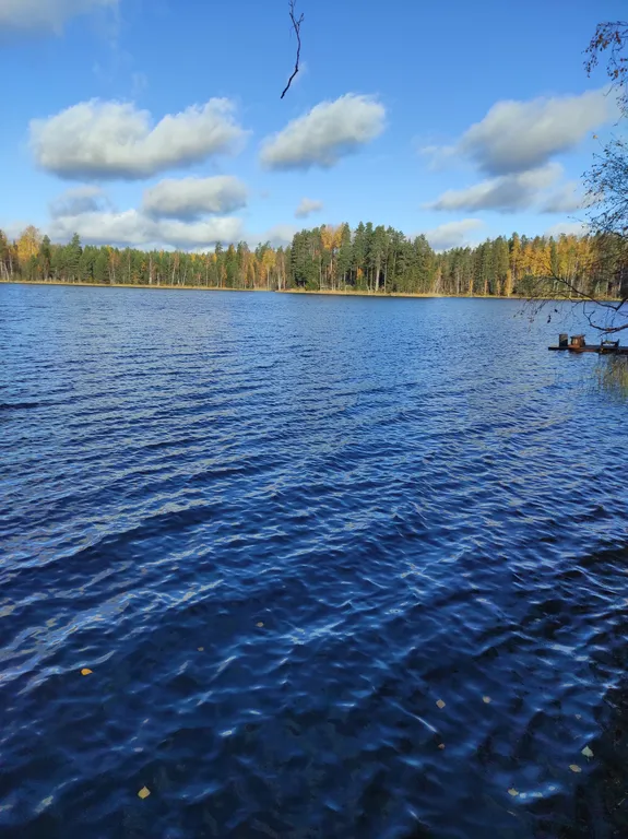 Уютный домик